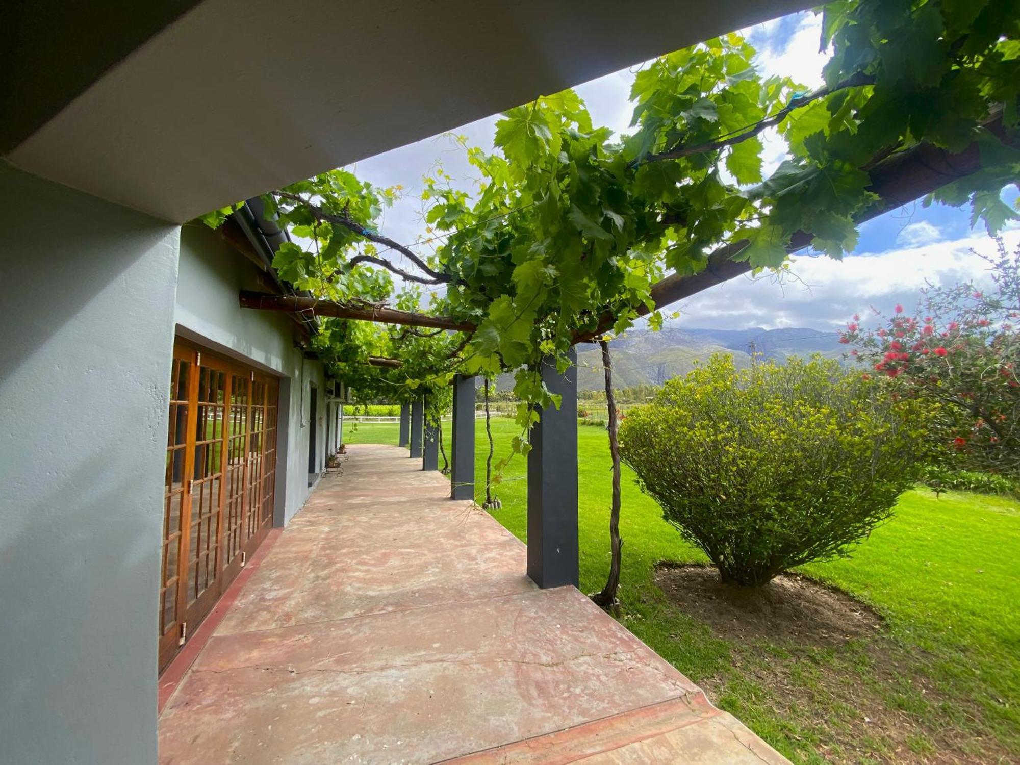 فندق لاديسميثفي  Oaksrest Vineyards Guest Farm المظهر الخارجي الصورة